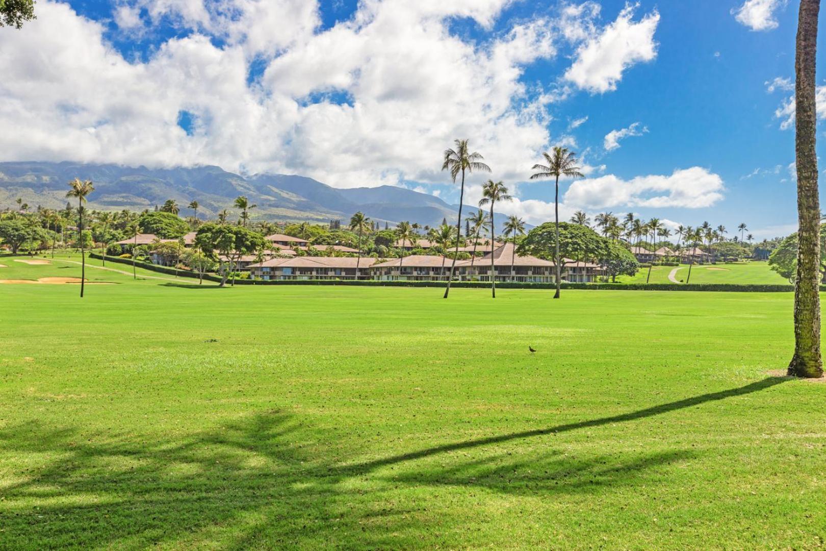 Maui Eldorado - J-106 - Walk-Out Ocean Views Hotel Kahana Exterior photo